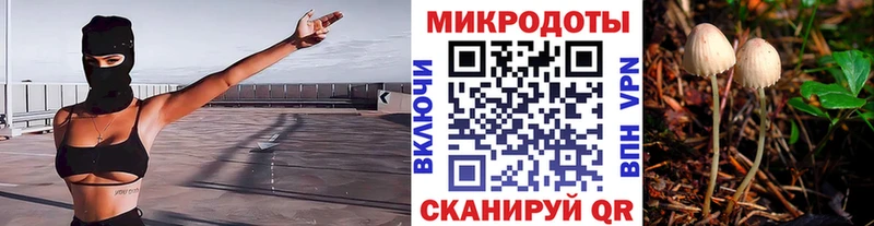 закладка  Лихославль  Галлюциногенные грибы Magic Shrooms 